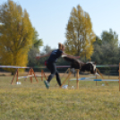 Állati jó nap a felelős állattartás jegyében