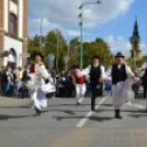 Szüreti felvonulás II.