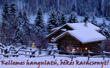 Szeretetteljes Karácsonyi Ünnepeket kívánunk!