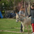 Tavaszköszöntő rendezvényt tartottak a Szérűskertben