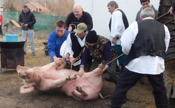 Öt disznóból készült a lakoma Petőfiszálláson