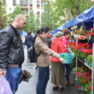 A barátságtalan idő ellenére is sokan ellátogattak a virágünnepre