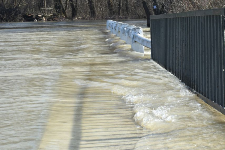 Árad a Tisza Tőserdőnél 