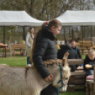 Tavaszköszöntő rendezvényt tartottak a Szérűskertben