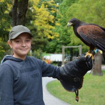 Természetvédelmi tábort szervezett a Natura Hungarica Alapítvány