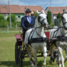 Fogathajtó versenyt rendeztek a Vasas Pályán