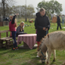 Tavaszköszöntő rendezvényt tartottak a Szérűskertben