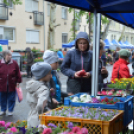 A barátságtalan idő ellenére is sokan ellátogattak a virágünnepre