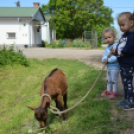 Gyermeknap a Tangazdaságban