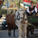 Szüreti felvonulás a Kossuth utcán