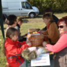 Állati jó nap a felelős állattartás jegyében