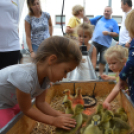 A gyerekek is élvezték a Libafesztivált