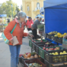 Színes virág kavalkád az őszi virágünnepen