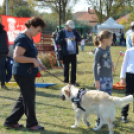 Állati jó nap a felelős állattartás jegyében