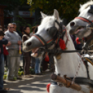 Szüreti felvonulás 2017.