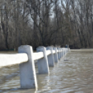 Árad a Tisza Tőserdőnél