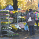 Petőfi lábainál virágba borult a tér