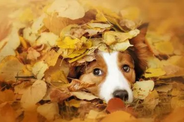 Derült, száraz, de hideg idő várható november első hetében