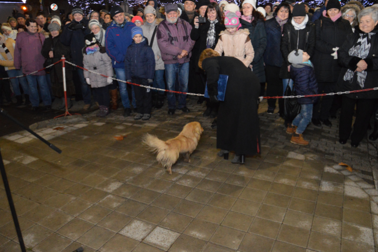 Fellobbant városunk adventi koszorújának második gyertyájának lángja