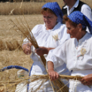 Arató fesztivál Haleszban