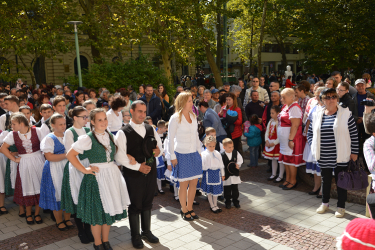 Szüreti felvonulás 2017.