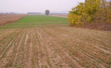 Nagyszabású földprogramot indít az agrártárca az osztatlan közös földtulajdon felszámolása érdekében