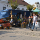 Soha nem találsz náluk különb barátot...