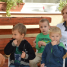 Szüreti mulatság a Darvas téri óvodában