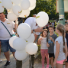 Mindenkit vár a jubileumi libafesztivál