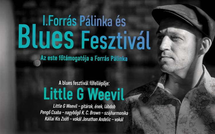 I. Forrás Pálinka és Blues Fesztivál