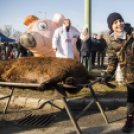 Sorban álltak a disznótoros ételekért Félegyházán