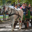 Szüreti felvonulás 2017.