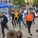 Földbe került a mindennapjaink kincseit rejtő ládikó