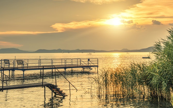 Bajt okozhatnak a balatoni algák