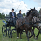 Fogathajtó versenyt rendeztek a Vasas Pályán