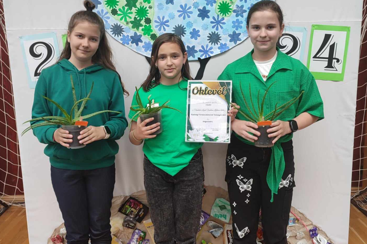 Természetismereti versenyen jeleskedtek a platánosok