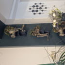 Lassú turizmus és csúcstechnológia – erdélyi szakmai úton a Kiskunfélegyházi Közgazdasági Technikum tanárai