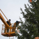 Lelkesen díszítették a fiatalok a lakótelep karácsonyfáját