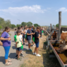 Szakmakóstoló tábor a Mezgében