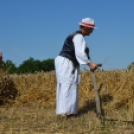 Régmúlt idők kézi aratási szokásai elevenedtek meg Haleszban 