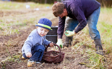 Idénymunka kereső portállal segíti a mezőgazdasági munkavállalást az agrártárca