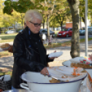 Szilvanapot tartottak a Petőfi lakótelepen