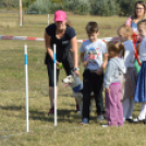 Állati jó nap a felelős állattartás jegyében