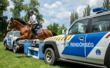 Ló és lovasa a rendőrség szolgálatában