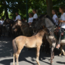 Felvonulással vette kezdetét a Kunfakó Ünnep