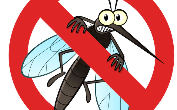 Szúnyoggyérítés várható Kiskunfélegyházán