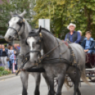 Szüreti felvonulás 2018.