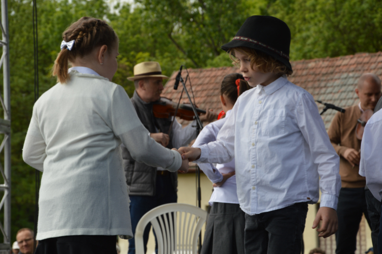 Majális a parkerdőben