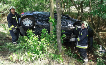 Őz miatt csapódott fának az autó, ketten sérültek