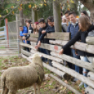 A megye tizennégy általános iskolájának végzősei látogattak el a Mezgé pályaorientációs napjára